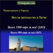 Виза в Европу на 365 дней,  вид на жительство в Литве,  бизнес в Европе