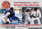 Бразильське джиу-джитсу BJJ БДД БЖЖ 